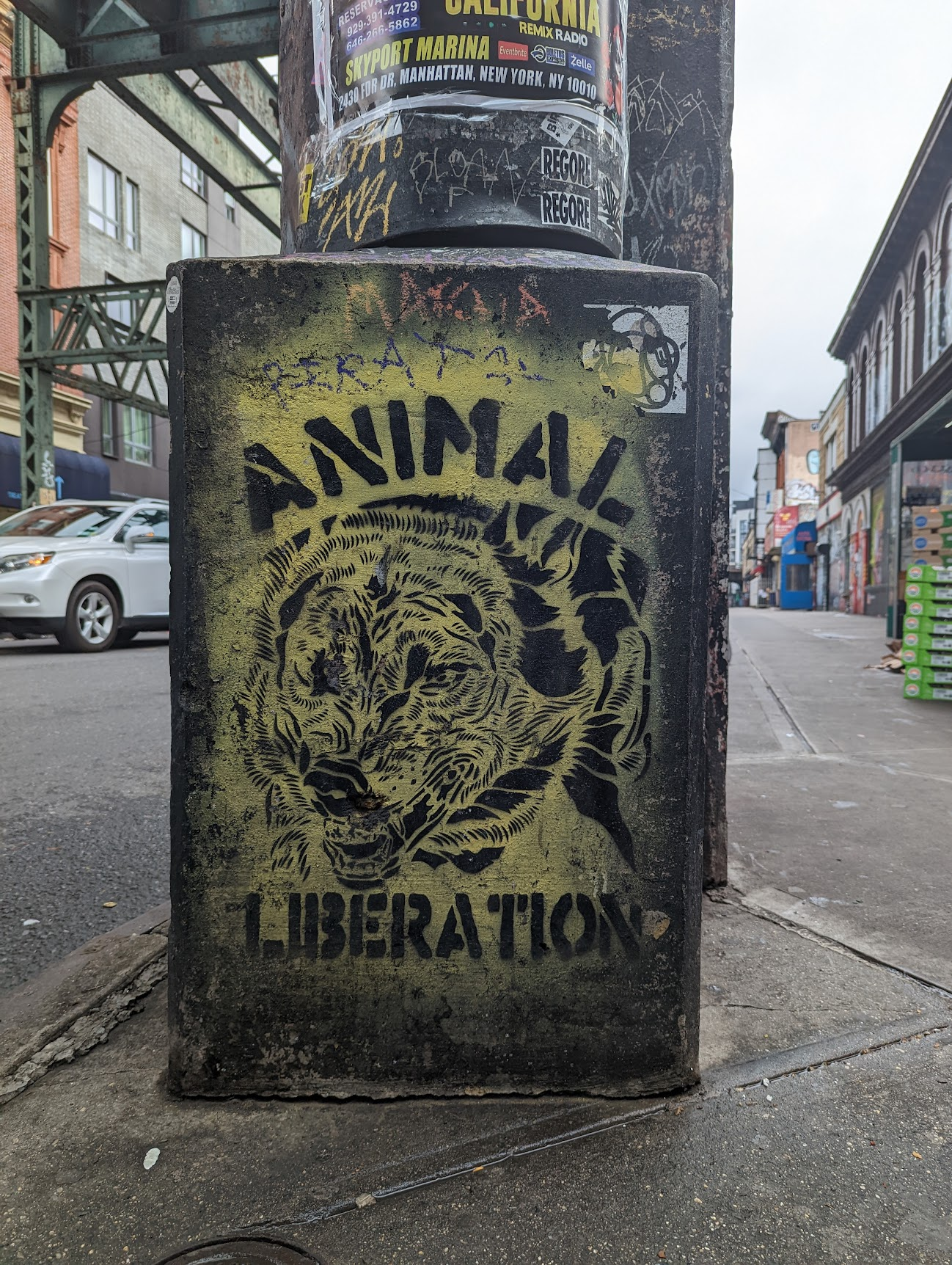 "Animal Liberation" stencil by Praxis.
